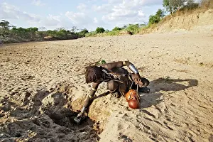 Hamer: Girl, Hamer tribe - collecting water