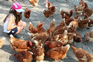 Headdress: Girl and Hens Isabrown - France