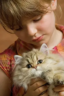 Holdiing: Girl - holding Persian Kitten