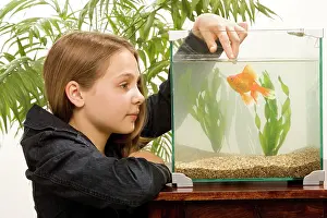 Tanks: Girl - looking at goldfish in tank