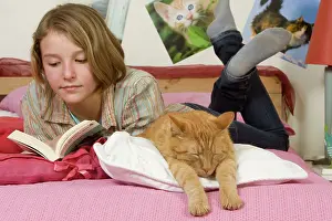 Reading: Girl lying on bed reading - with ginger cat asleep on bed