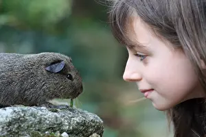 Phytophages: Girl observing a Guinea Pig eating France