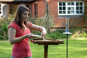 Crumbs: Girl putting out crumbs for the birds on bird table
