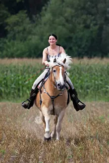 Avelignese: Girl riding a Haflinger / Avelignese horse