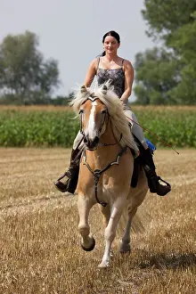 Avelignese: Girl riding a Haflinger / Avelignese horse