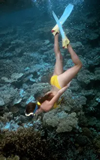 Snorkeller: Girl Snorkeling
