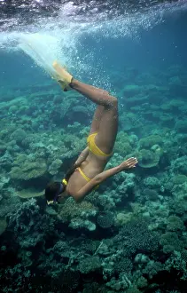 Snorkeller: Girl Snorkeling