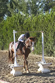 Student: Girl straddling Route handling Equestrian