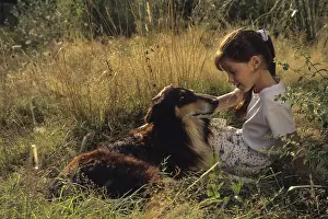 Stroking: Girl stroking a Colley in the grass
