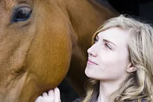 Stroking: Girl stroking the head of a Horse France
