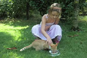 Stroking: Girl stroking a kitten eating - France