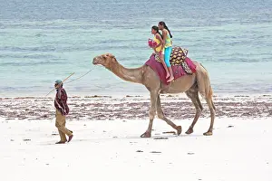 Handler: Two girl Tourists riding Camel