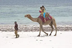 Bactrian: Two girl tourists riding camel Diani Beach Kenya