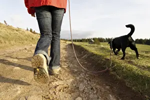 Promenade: Girl walking her dog on a leash The Wettstein
