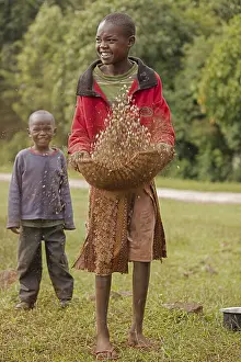 Beans: Girl winnowing beans, Kenya
