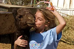 Emirates: Girl and young camel in Al Ain camel market -UAE