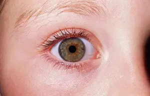 James Marchington: GirlIs EYE - close-up of single hazel eye