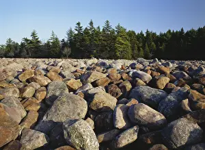 Rubble: Glacial Boulder Field