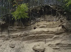 Glaciation: Glacial Drift