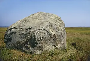 Erratic: Glacial Erratic, Cape Cod