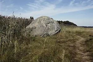 Glaciation: Glacial Erratic, Cape Cod