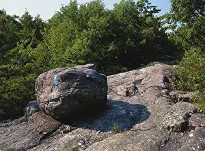 Glaciation: Glacial Erratic, New Jersey