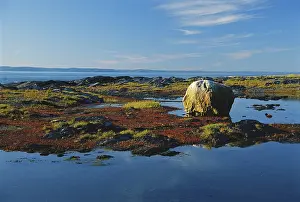 Glaciation: Glacial Erratic, Quebec
