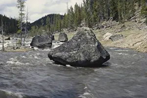 Erratic: Glacial Erratic, Yellowstone