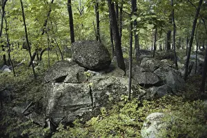Glaciation: Glacial Erratics, Pennsylvania