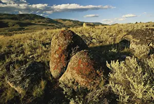 Glaciation: Glacial Erratics, Yellowstone