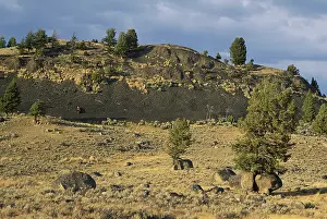 Glaciation: Glacial Erratics, Yellowstone