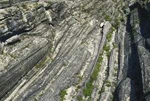 Striations: Glacial Grooves in Limestone