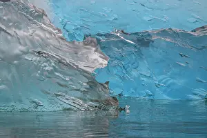 Change: Glacial icebergs