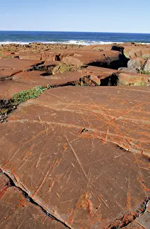 Striations: Glacial Striations - on precambrian rock polished