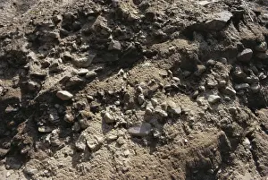 Glaciation: Glacial Till