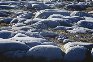 Striations: Glacially Polished Rock