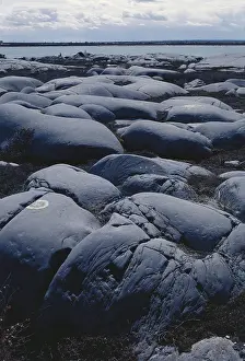 Striations: Glacially Polished Rock