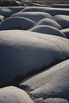 Glaciation: Glacially Polished Rock