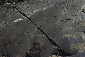 1980: Glacially Polished Rock