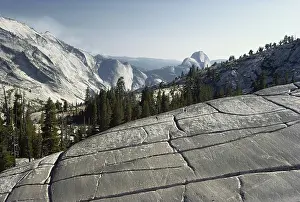 Glaciation: Glacially Polished Rock