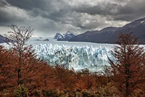 Glaciers: A glacier in a dramatic landscape with autumn trees and dark clouds over the mountains in the background