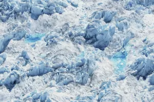 Tongass: Glacier Surface