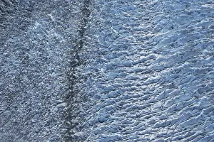 Tongass: Glacier Surface