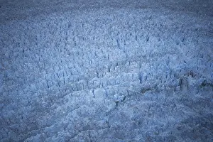 Tongass: Glacier Surface
