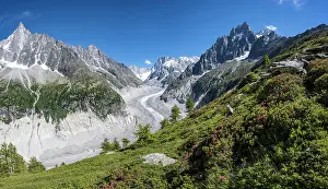 Rhone: Glacier tongue Mer de Glace, rear Grandes Jorasses