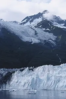 Terminal: Glaciers in College Fjord