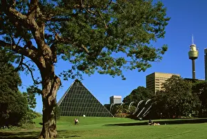 Hothouse: The Glass Pyramid (a hothouse) in Royal Botanic Gardens