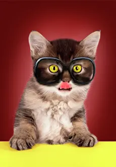 Lips: Cat