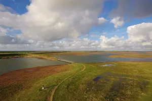 Zeeland: Glasswort