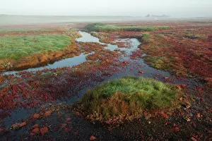 Oosterschelde: Glassworth